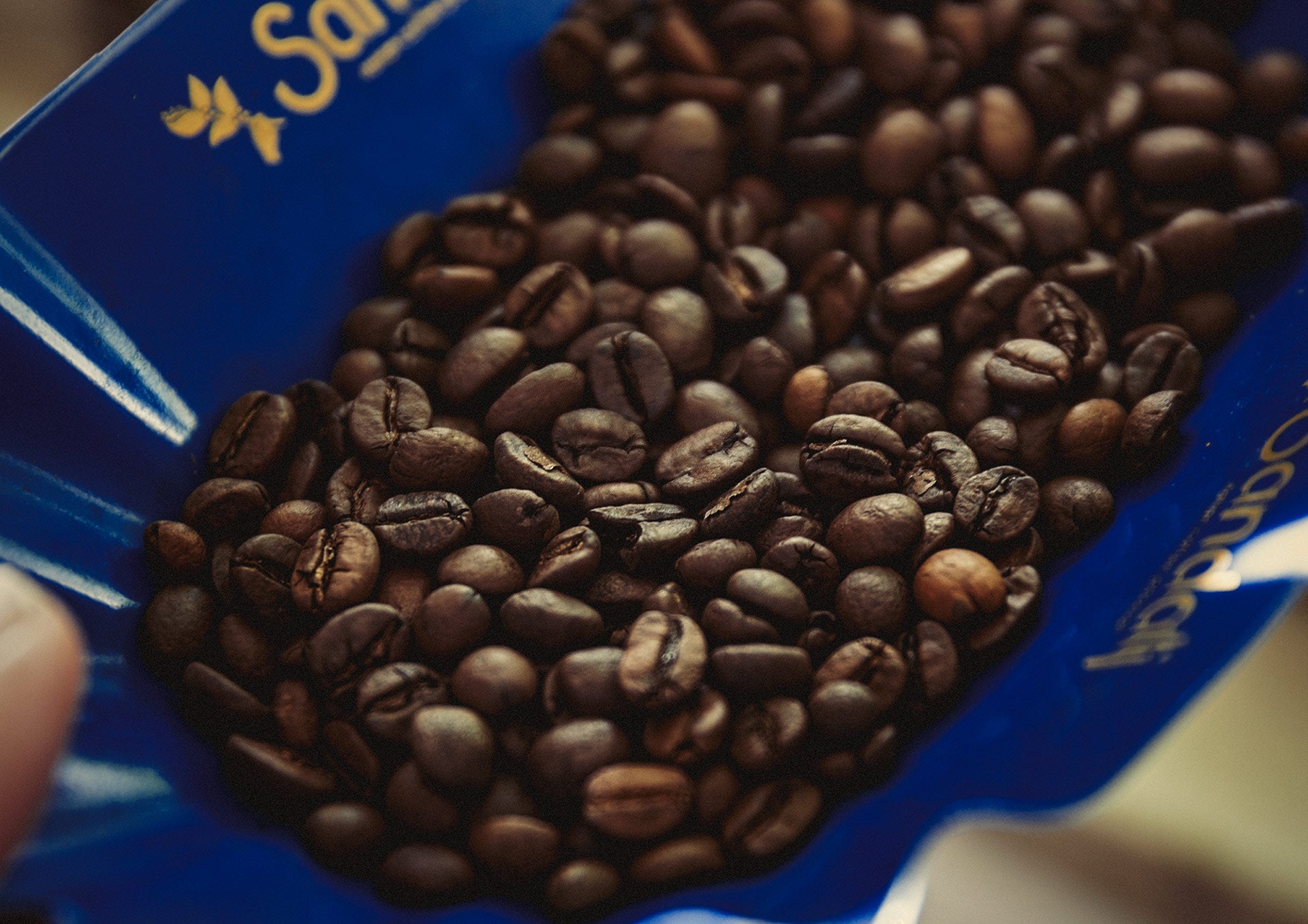 DEAD OR ALIVE COFFEE Quattro Kaffeebohnen