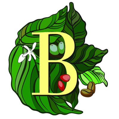 Logo des Kaffeeportals Bunaa mit Kaffeepflanze